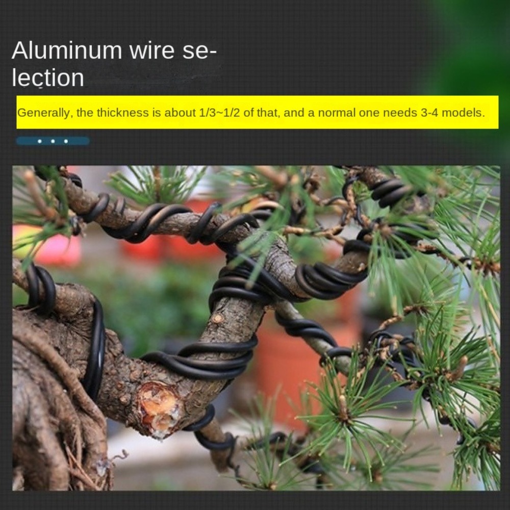 Aluminum Bonsai Wire Garden Bo - огляд і ціна Plant Parent Tools