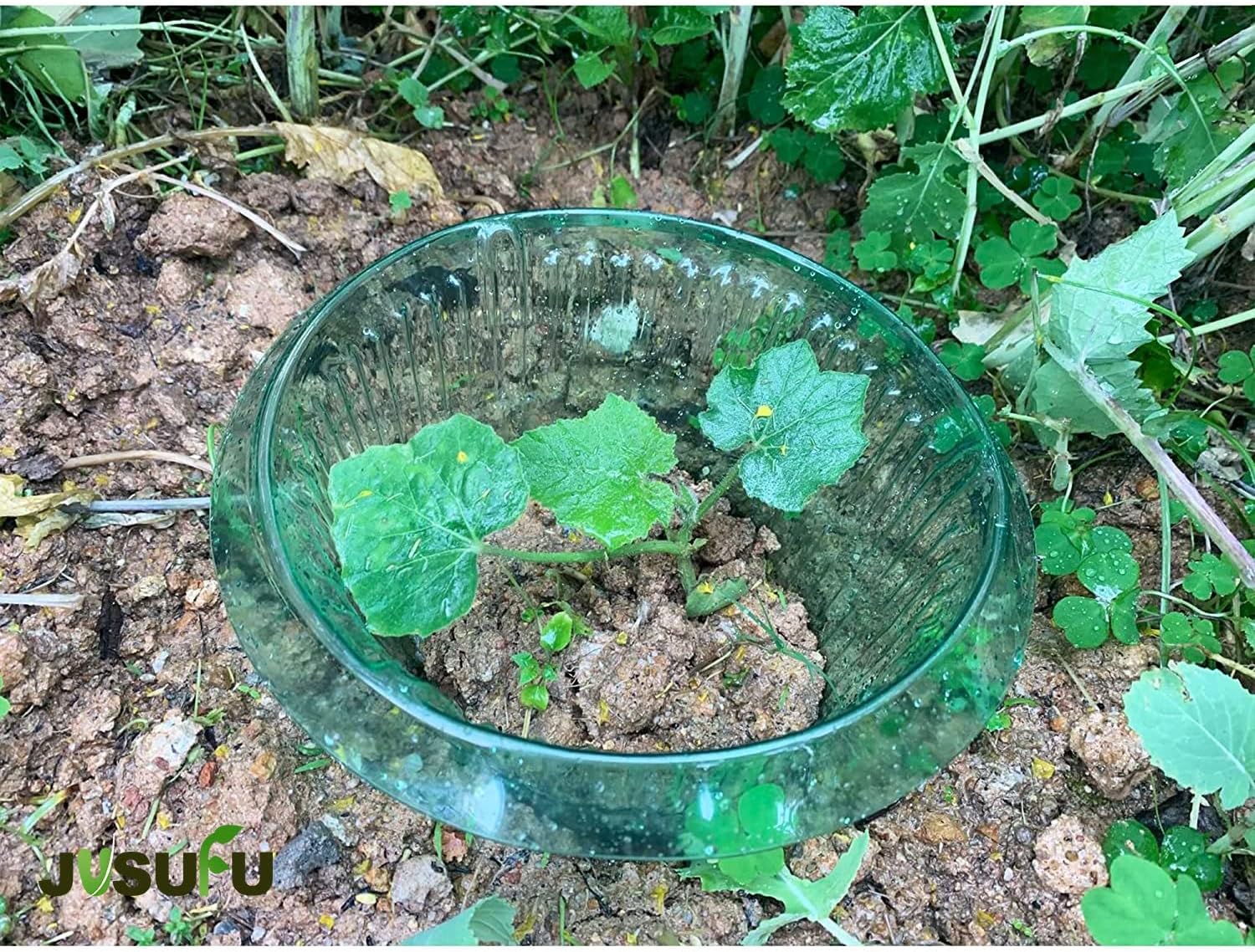 1/30pcs Plants Slug Protection - огляд і ціна Plant Parent Tools