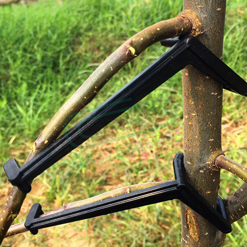 10-30Pcs Fruit Tree Clips Plan - огляд і ціна Plant Parent Tools