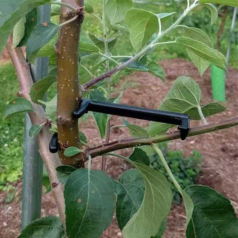 10-30Pcs Fruit Tree Clips Plan - огляд і ціна Plant Parent Tools
