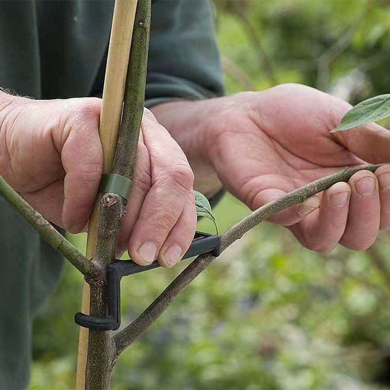 10-30Pcs Fruit Tree Clips Plan - огляд і ціна Plant Parent Tools
