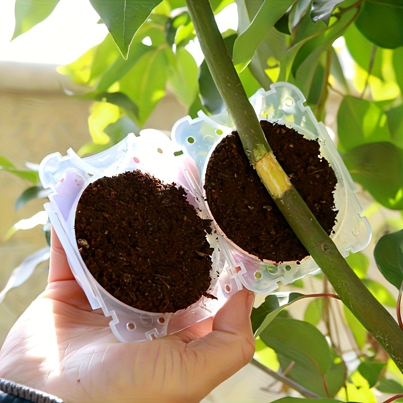 10Pcs High Pressure Plant Root - огляд і ціна Plant Parent Tools